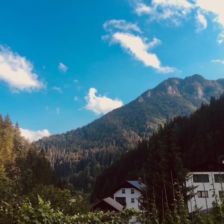 Apartment Tisa Solčava Dış mekan fotoğraf