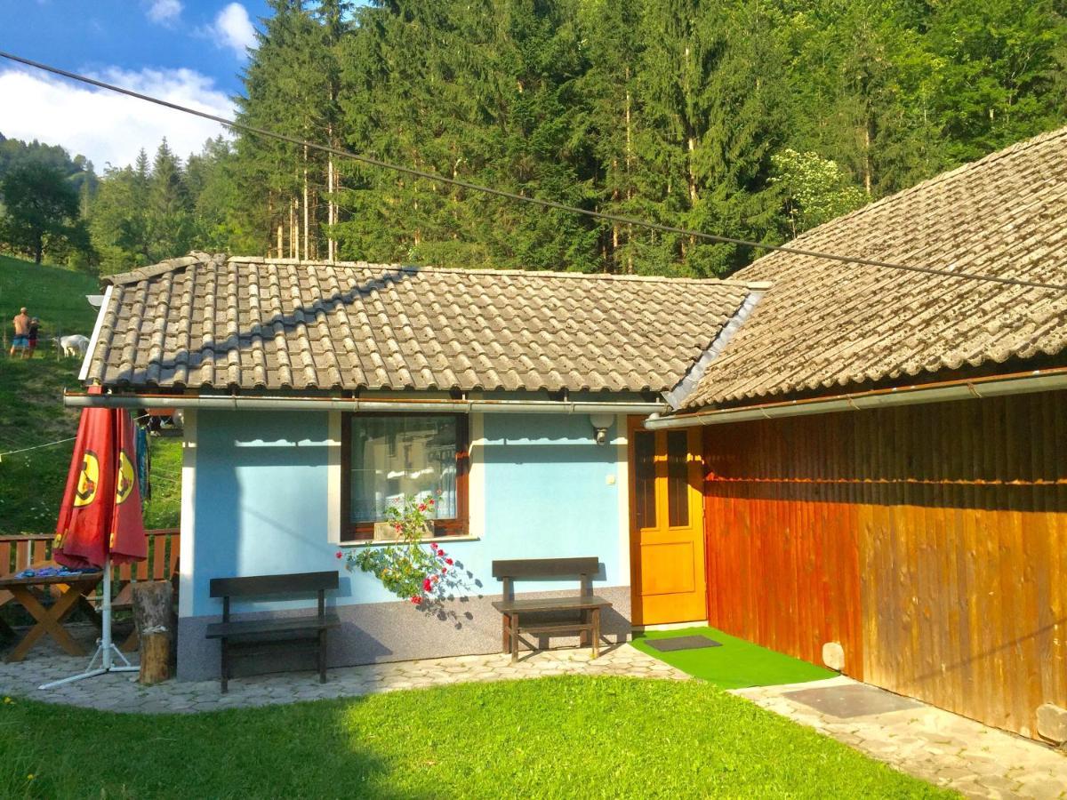 Apartment Tisa Solčava Dış mekan fotoğraf