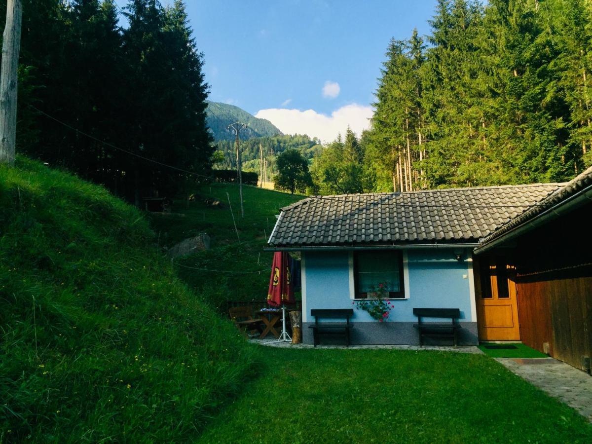 Apartment Tisa Solčava Dış mekan fotoğraf