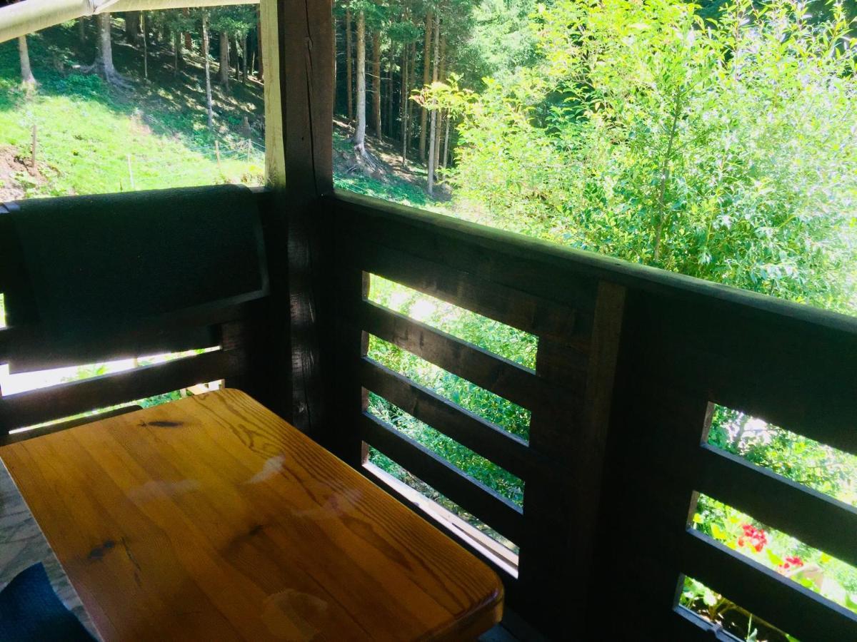 Apartment Tisa Solčava Dış mekan fotoğraf