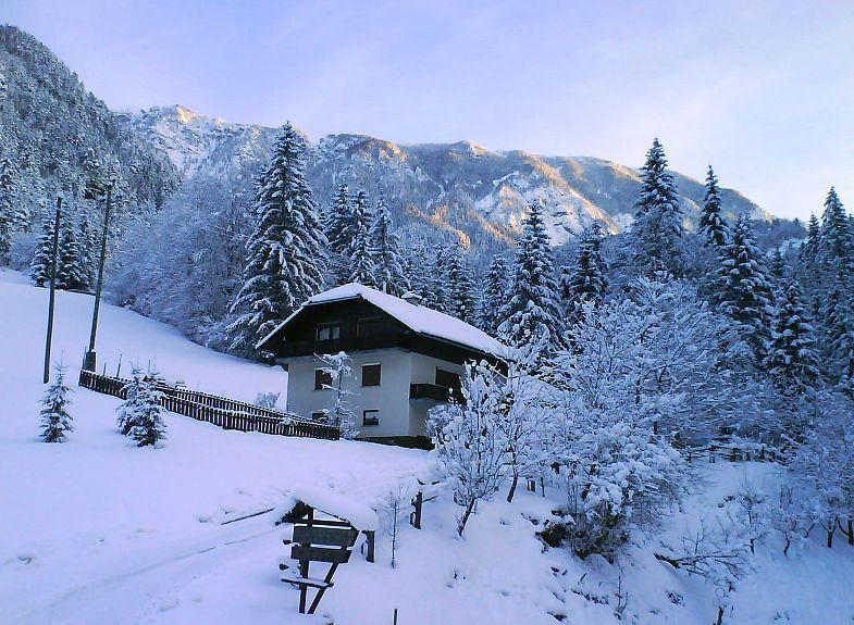 Apartment Tisa Solčava Dış mekan fotoğraf