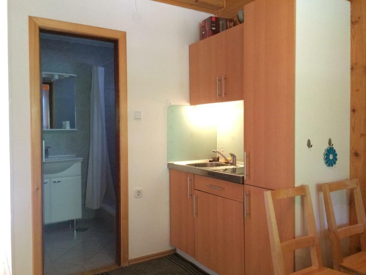 Apartment Tisa Solčava Dış mekan fotoğraf